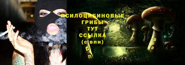 меф Няндома