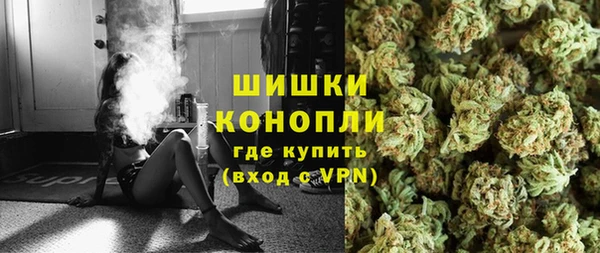PSILOCYBIN Аркадак