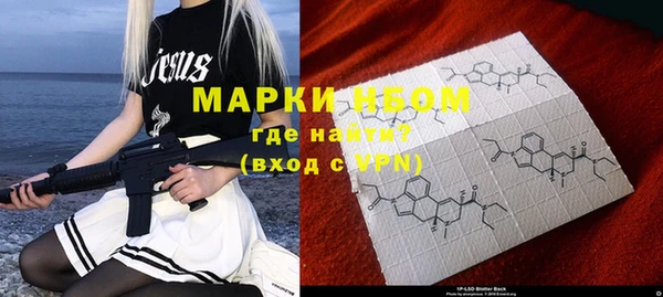 индика Нягань
