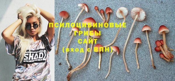 индика Нягань