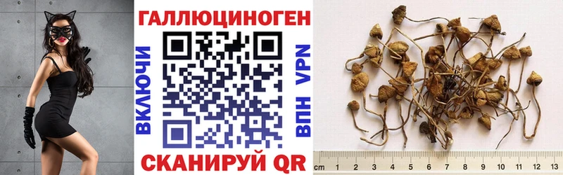 Псилоцибиновые грибы MAGIC MUSHROOMS  сколько стоит  Оханск 